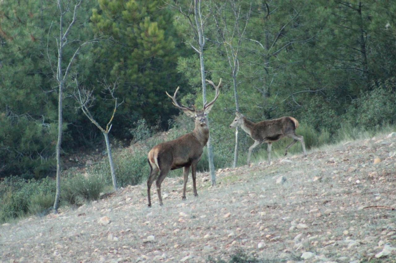 Apartamentos Rurales Casa Josefita Pedroso de Acim Dış mekan fotoğraf